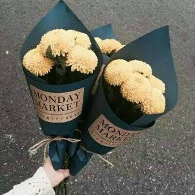 南宫体育手机app下载